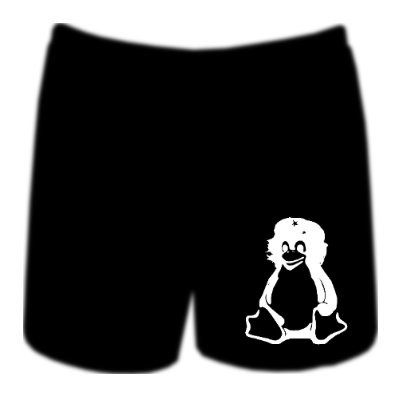 Boxershorts - Tux Guevara